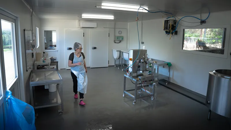 Fabrication artisanale des yaourts fermiers