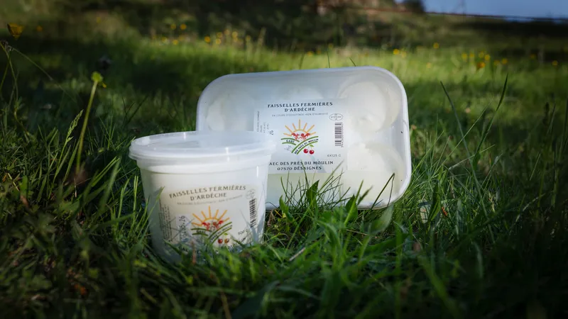 Faisselle et fromage blanc battu de la ferme